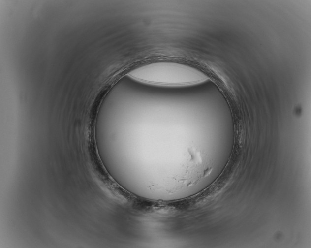 X0000095960455200801110950