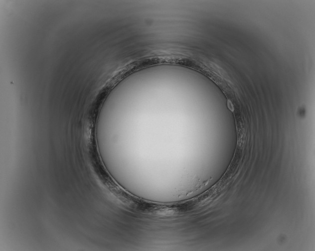 X0000095960456200801110950