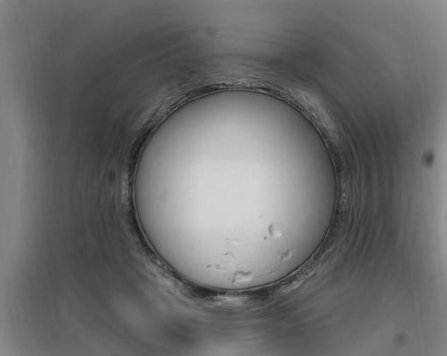 X0000095960457200801110950