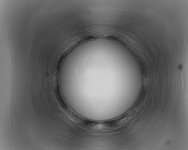 X0000095960460200801110950