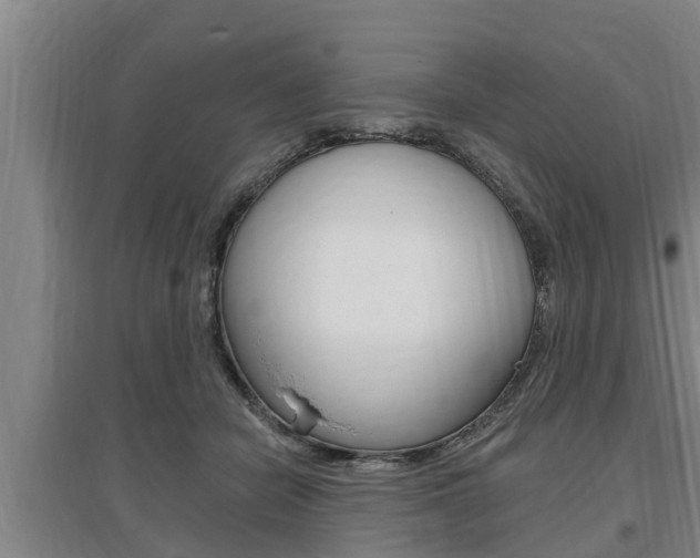 X0000095960462200801110950