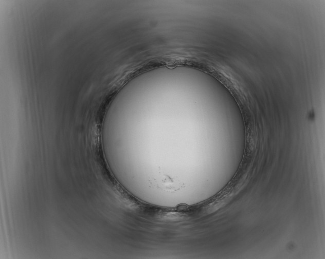 X0000095960467200801110950