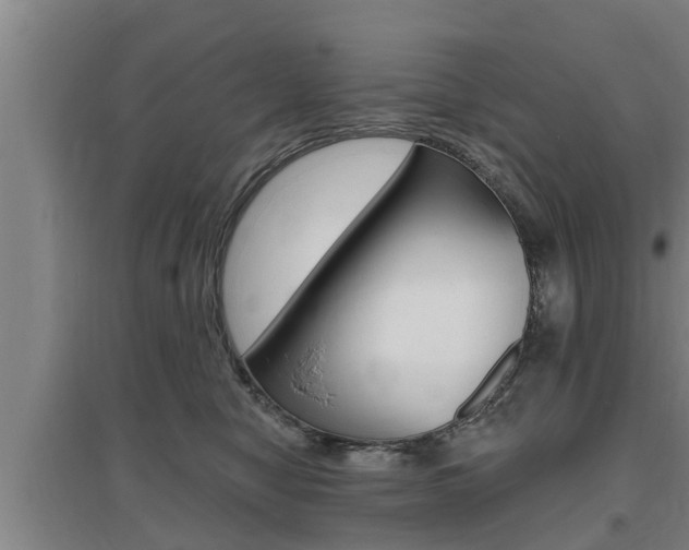 X0000095960470200801110950