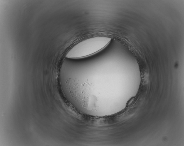 X0000095960472200801110950