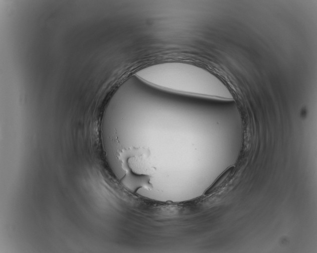 X0000095960473200801110950