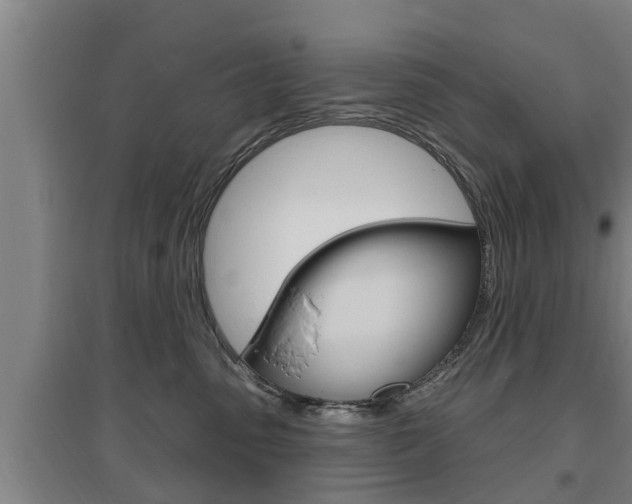 X0000095960475200801110950