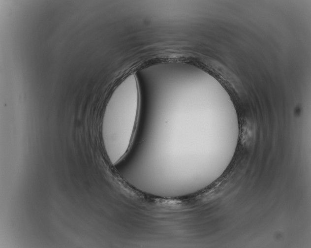 X0000095960476200801110950