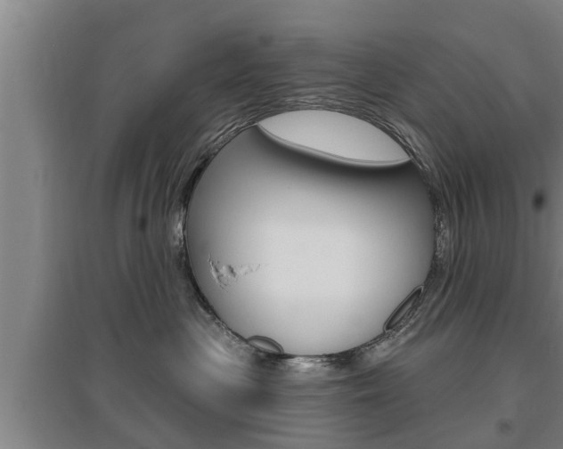 X0000095960477200801110950