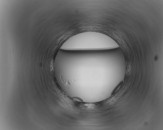 X0000095960478200801110950