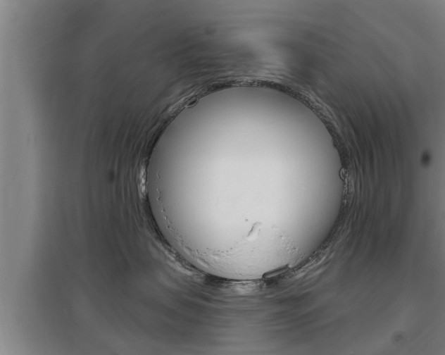 X0000095960479200801110950