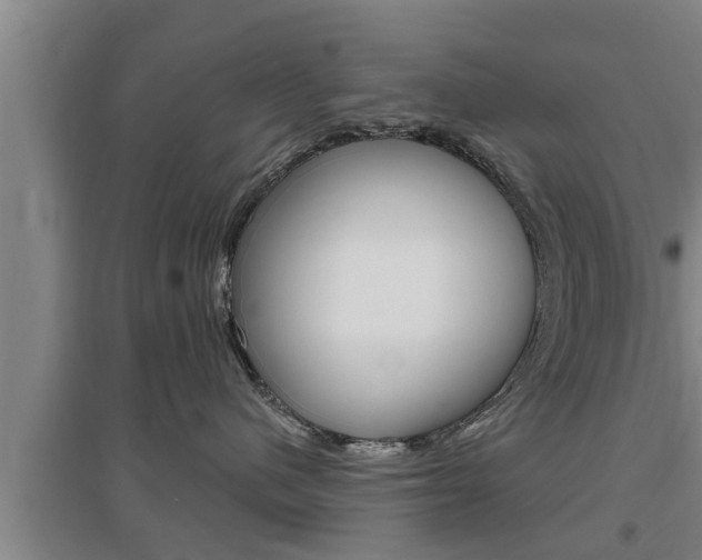 X0000095960480200801110950