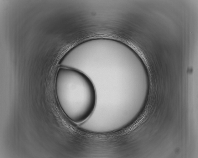 X0000095960481200801110949