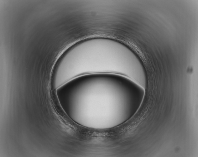 X0000095960484200801110949