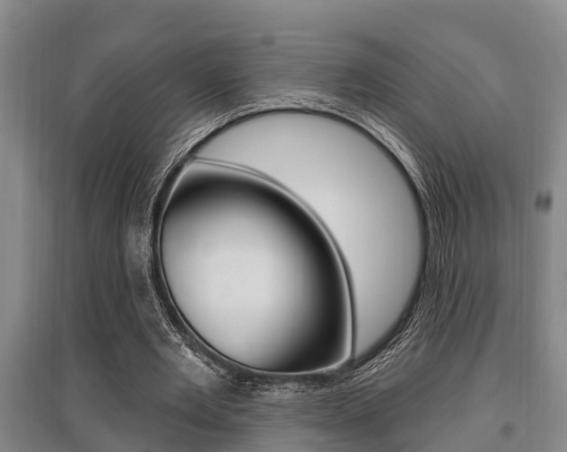 X0000095960485200801110949