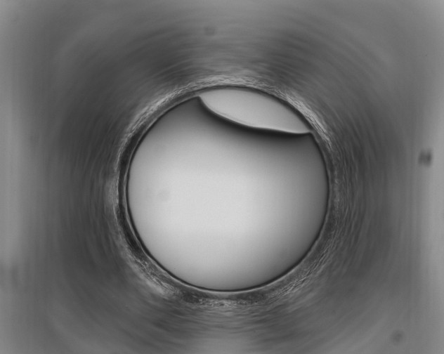 X0000095960486200801110949