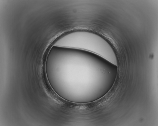 X0000095960492200801110949