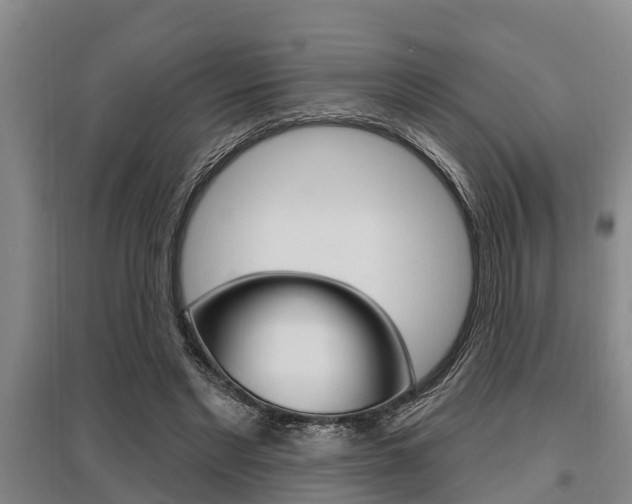 X0000095960493200801110949