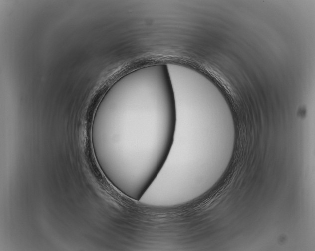 X0000095960494200801110949