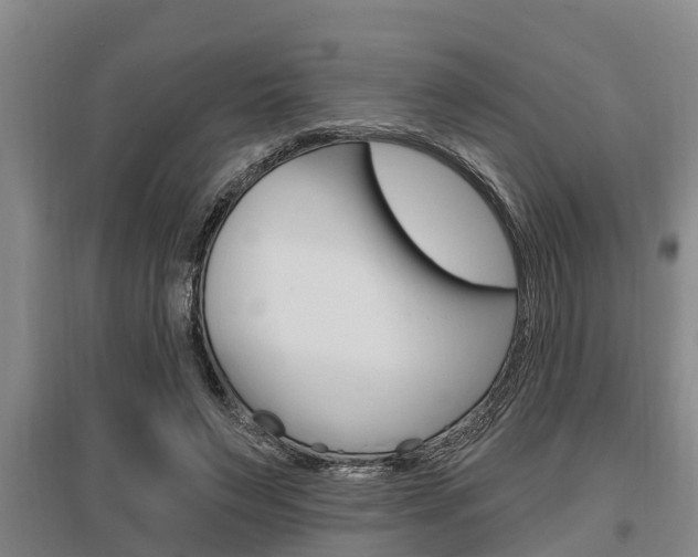 X0000095960495200801110949