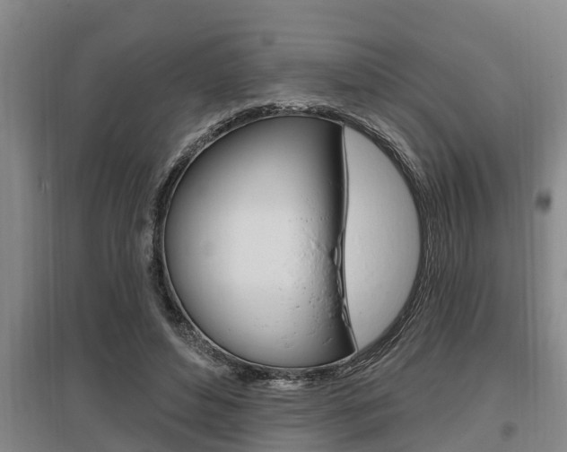 X0000095960496200801110949