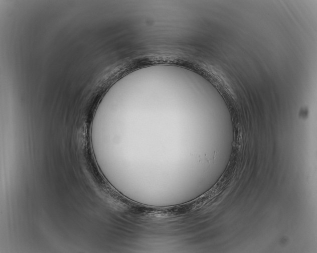 X0000095960498200801110949