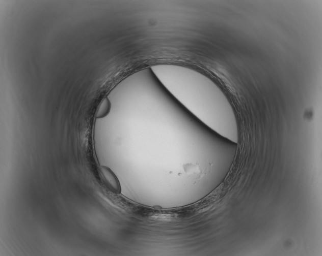X0000095960499200801110949