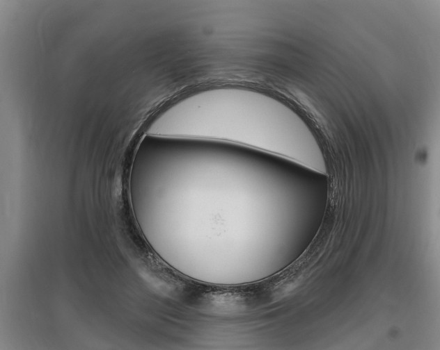 X0000095960500200801110949