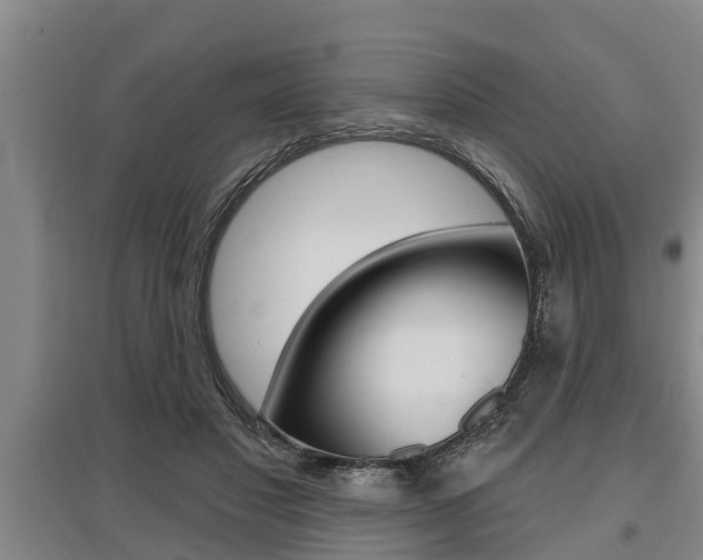 X0000095960501200801110949