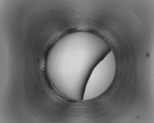 X0000095960502200801110949