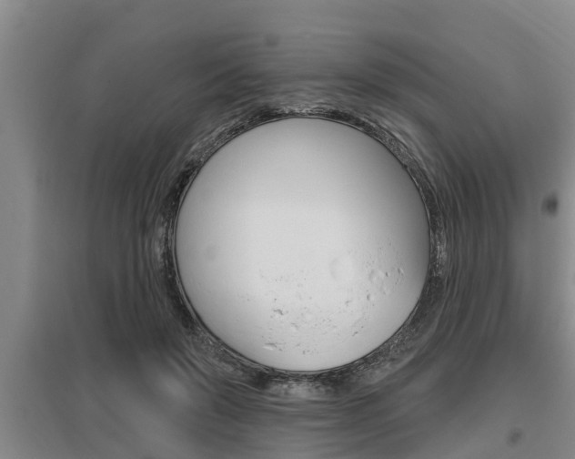 X0000095960503200801110949