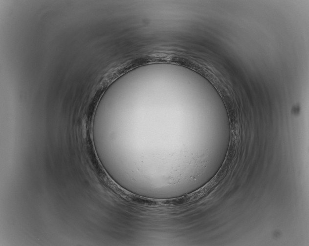 X0000095960504200801110949