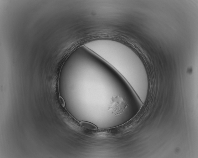 X0000095960505200801110949