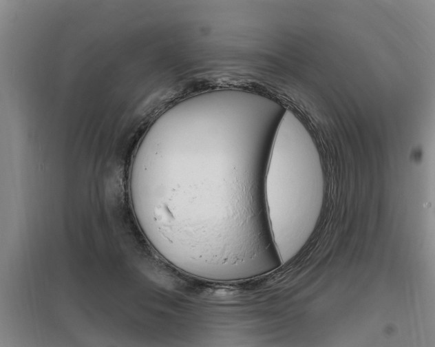 X0000095960506200801110949