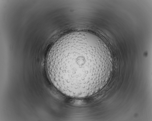 X0000095960507200801110949