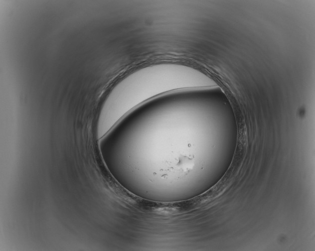 X0000095960508200801110949