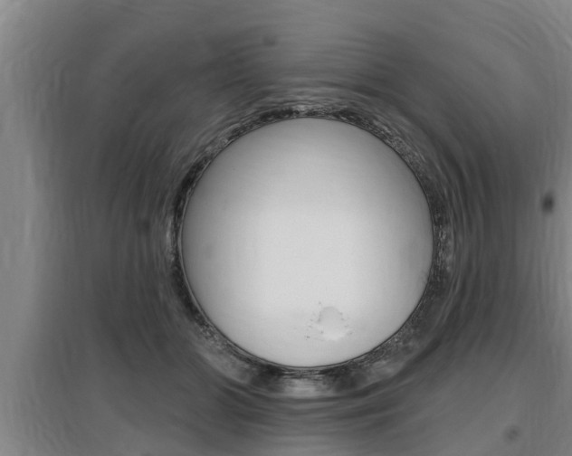 X0000095960510200801110949
