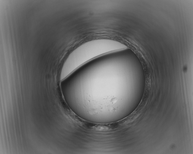 X0000095960512200801110949