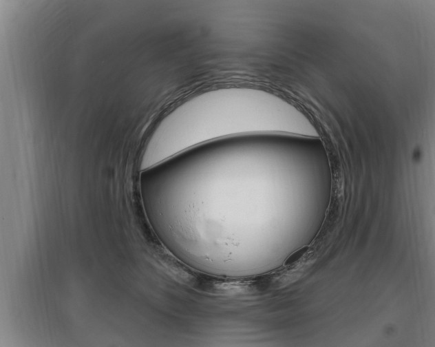 X0000095960516200801110949