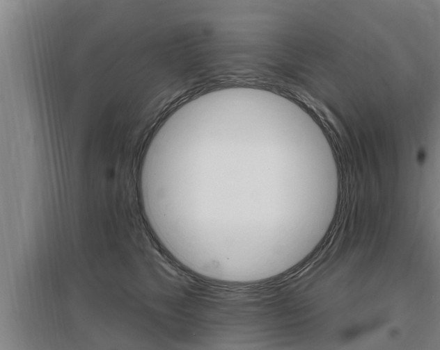 X0000095960517200801110949