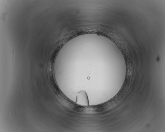 X0000095960518200801110949
