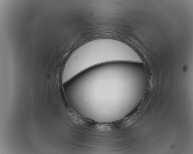 X0000095960520200801110949