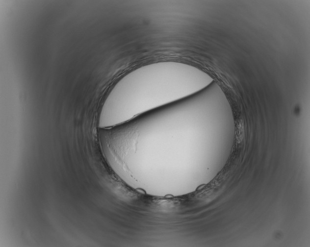 X0000095960522200801110949