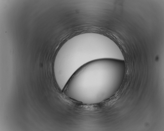 X0000095960524200801110949