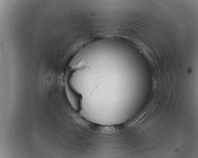 X0000095960525200801110949