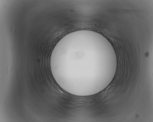 X0000095960528200801110949