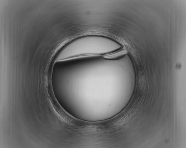 X0000095960530200801110948