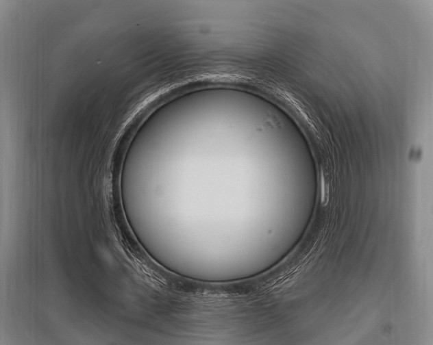 X0000095960531200801110948