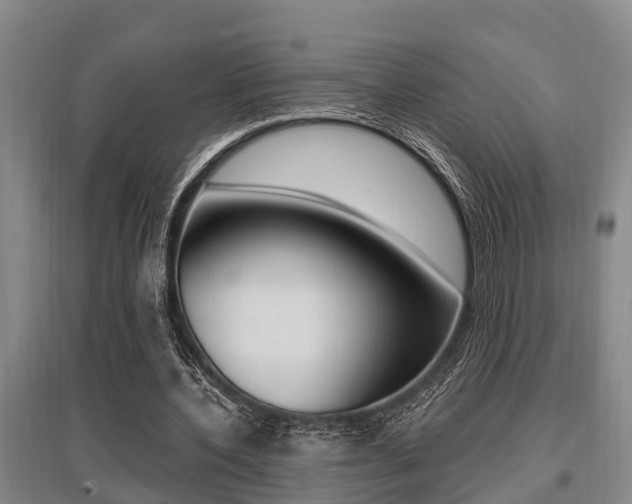 X0000095960532200801110948