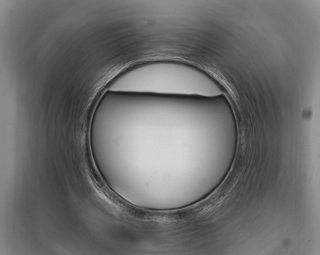 X0000095960533200801110948