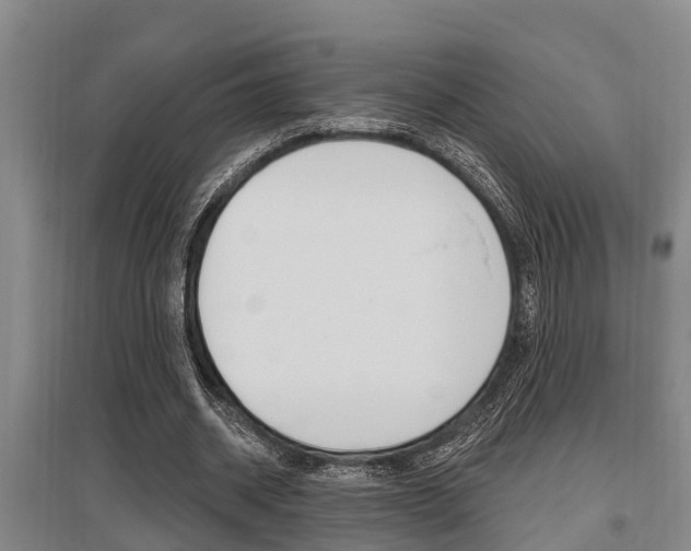 X0000095960534200801110948
